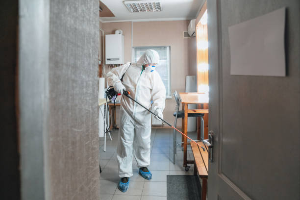 Reliable Flagtown, NJ Mold Removal Solutions
