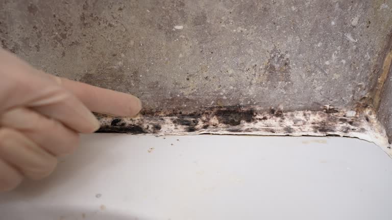 Best Commercial Mold Inspection  in Flagtown, NJ